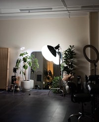 a room with a lot of plants and a light