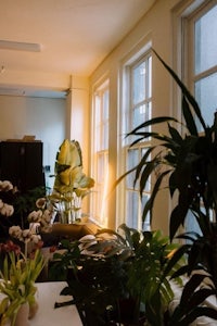 a room with a lot of plants in it
